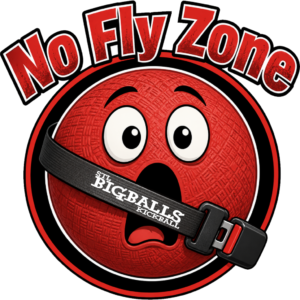No Fly Zone logo